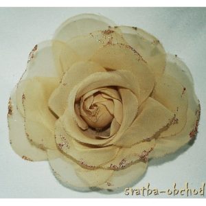 Růže 11 šampáň šifonová 11cm
